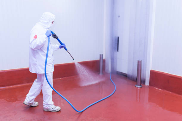 Best Solar Panel Cleaning  in Jeffersonville, OH